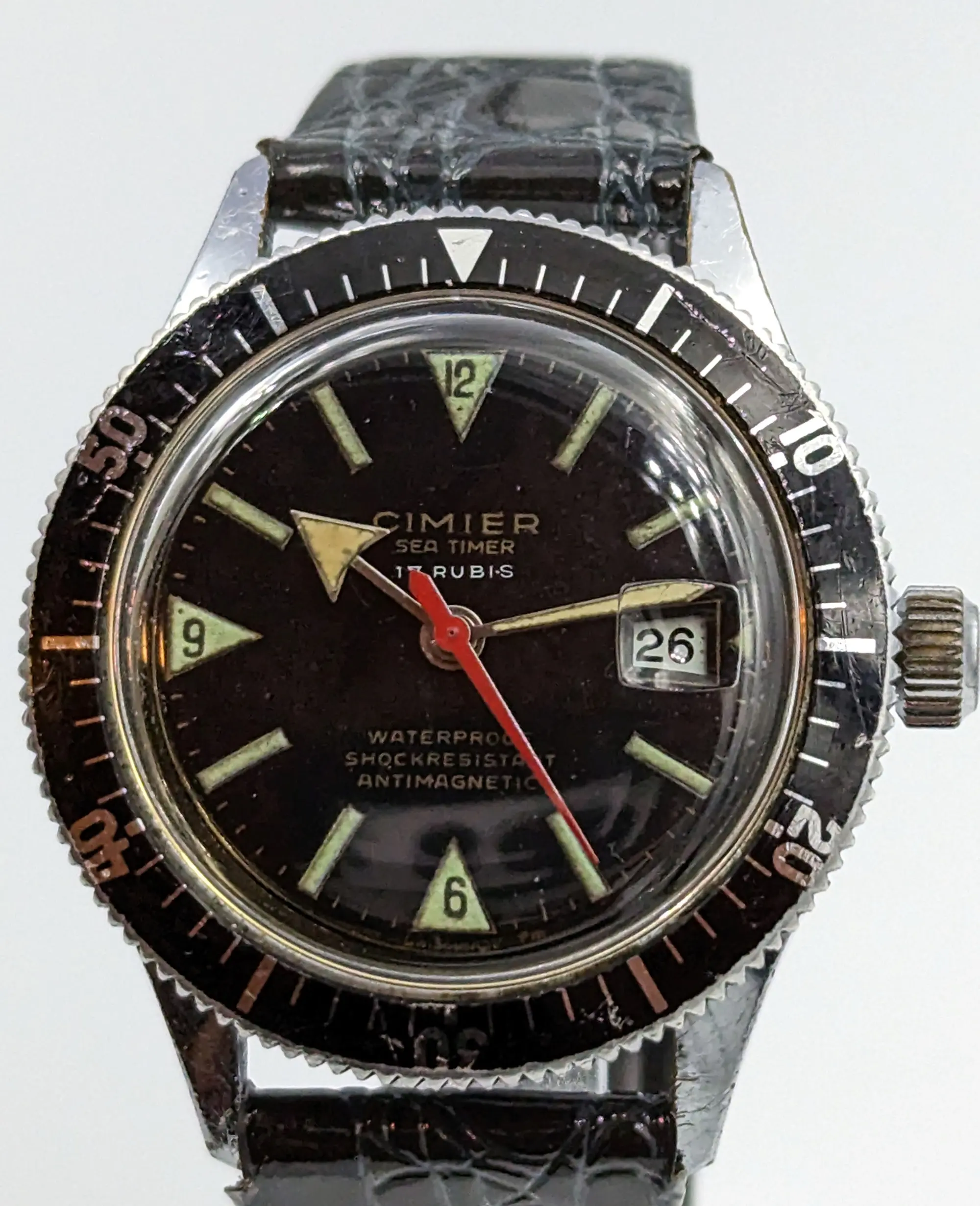Diver